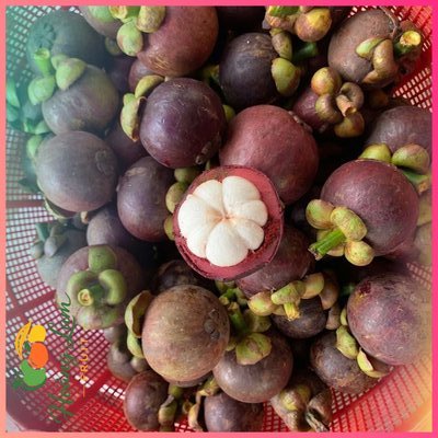 Măng Cụt Ruột Trắng Tinh Không Hạt - Hộp 500g